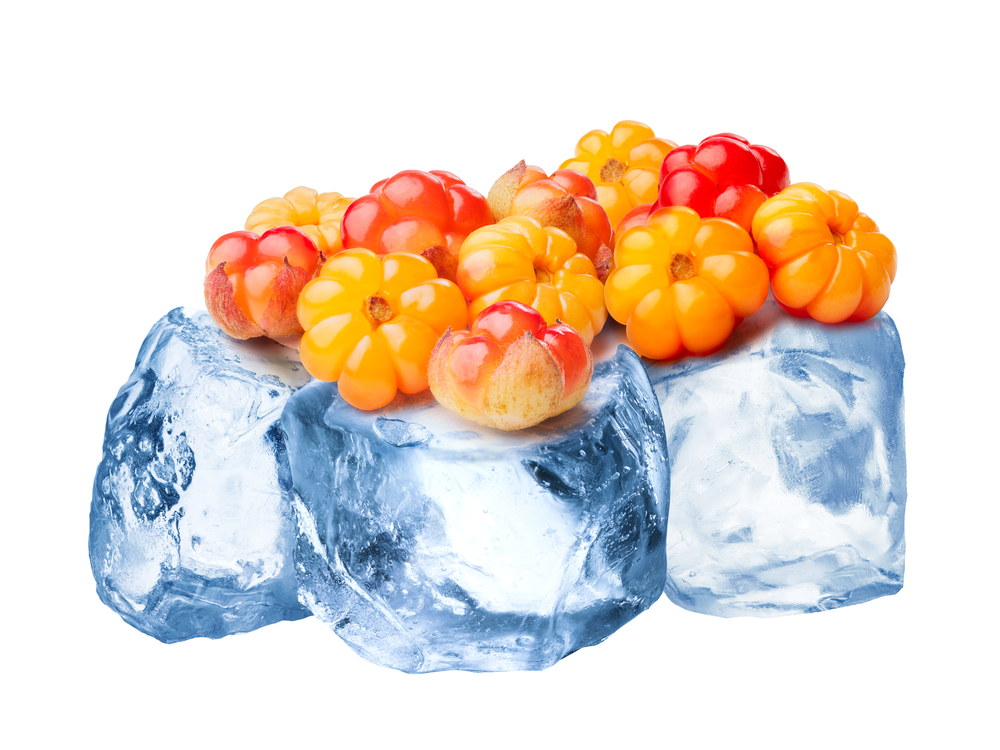 shutterstock 385146643
